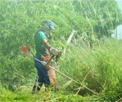 Equipe Roçatek realizando limpeza de terreno